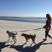 Krista Hess Smith's photo