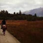 Sam Martin's photo
