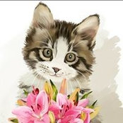 Foto von Муля Кораблёв