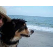 Sue Wilson's photo