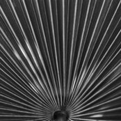 Jeff Hindmans foto