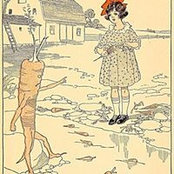 Barbara Ogden's photo