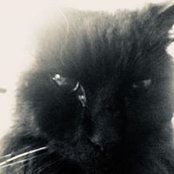 Photo de Brian