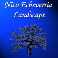 Nico Echeverria Landscape