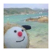 Yuko Sekiguchiさんの写真