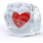 Janice Pollak's photo