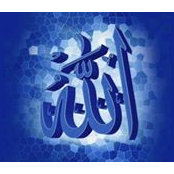 Fatma Elsayed's photo