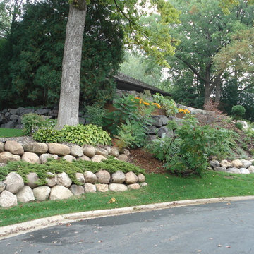 General Landscape