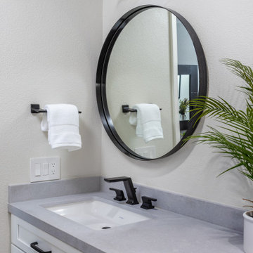 Spa-Like Primary and Guest Bathroom Makeovers