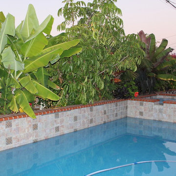 Tropical Pool Garden