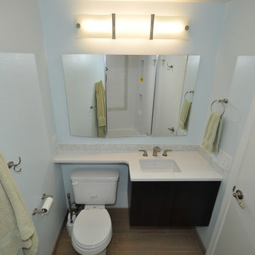 Contemporary Bathroom