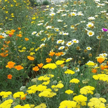 Tunnel Top Park