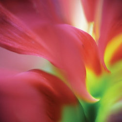 Art for your home - Products