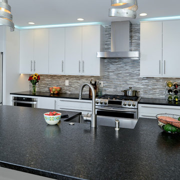 RESTON, VIRGINIA--MODERN/CONTEMPORARY KITCHEN REMODEL