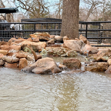 10x10 Duck Pond