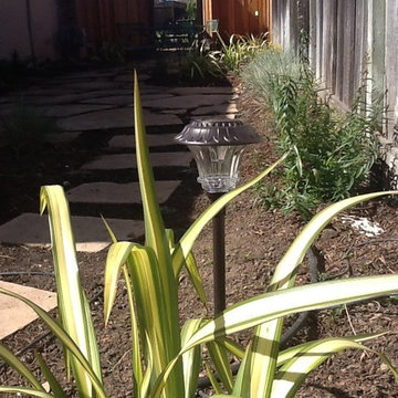 Courtyard Garden