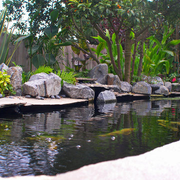 KOI Pond