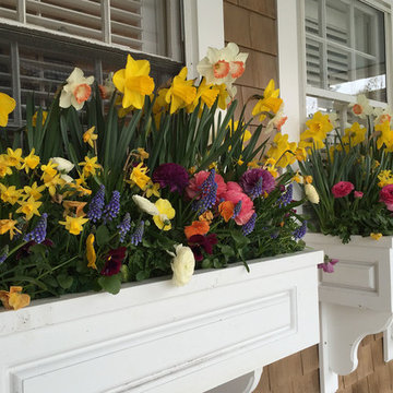 Window Boxes / Containers