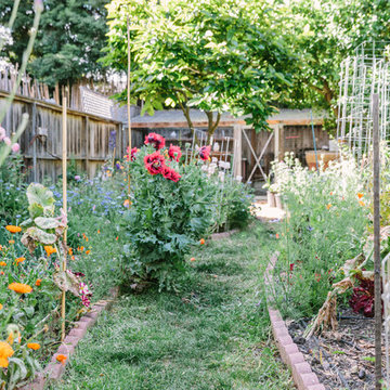 Urban Homesteading Oakland 1