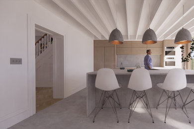 モダンスタイルのおしゃれなキッチン (フラットパネル扉のキャビネット、中間色木目調キャビネット、コンクリートカウンター、シルバーの調理設備、コンクリートの床、表し梁) の写真