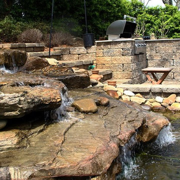 Our Work