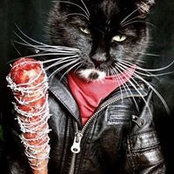 Vanessa Longo's photo