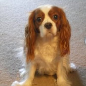 Becky Jarrell's photo