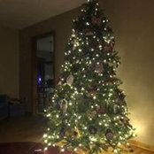 Crystal Ferguson's photo