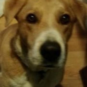 Colleen Bissner's photo