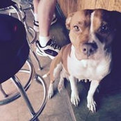Buddy Boyd's photo
