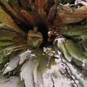 Tom Hall's photo