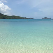 S Webb's photo