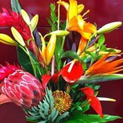 Floral Reef's photo