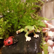 Rozi Cさんの写真