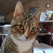 Karen Millar's photo