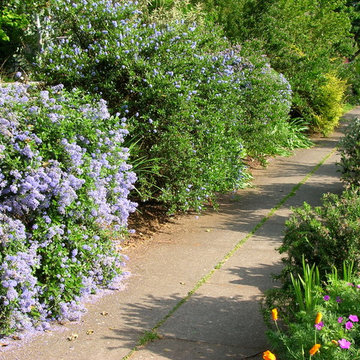 parking strip gardens
