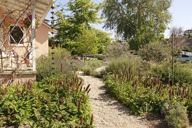 Design ideas for a rustic landscaping in Los Angeles.
