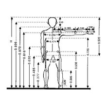Anthropometry