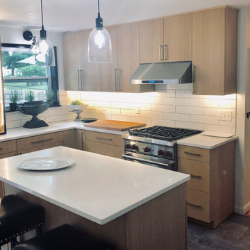 Contemporary Kitchen Remodel