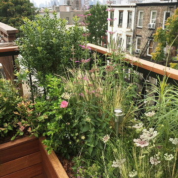Brooklyn Roof Deck