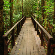 bridges