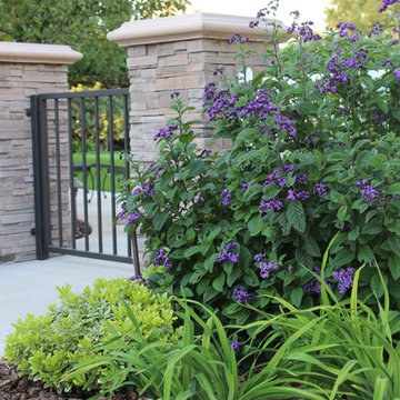 Transformed Lawn Area
