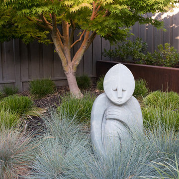 Intimate contemporary Garden