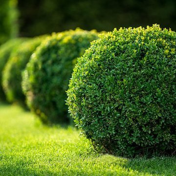 Landscape Maintenance