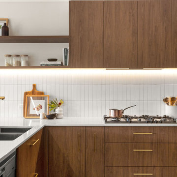Plympton Park Contemporary Kitchen Renovation