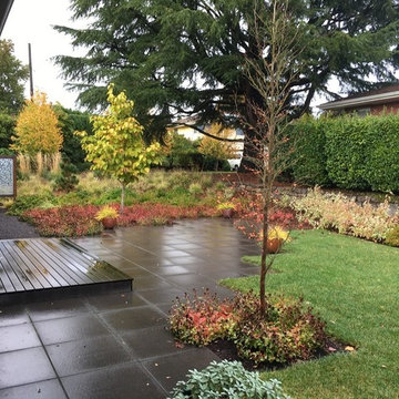 Client Photos