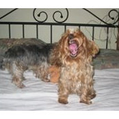 Teresa Culleton's photo