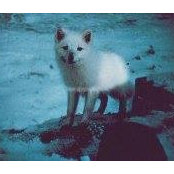 Foto von Gord Fox