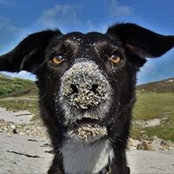 Paul Noyes's photo