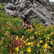 Ashlee Keller's photo